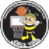 https://img.yizhaoyimu.cn/img/basketball/team/e416830f4083698237c559f8988ddb25.png