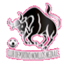 https://img.yizhaoyimu.cn/img/football/team/97c3ef30cac48cadff97605e387feefa.png